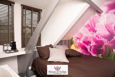 House of Tulips, Hillegom, Нидерланды