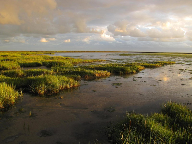 Hotel Waddengenot, Korrewegwijk, The Netherlands