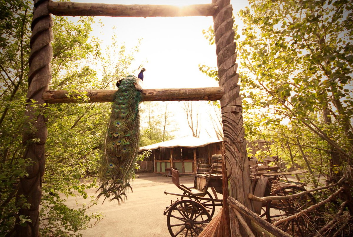 Hotel · Bamboo Lodge Groningen, Groningen