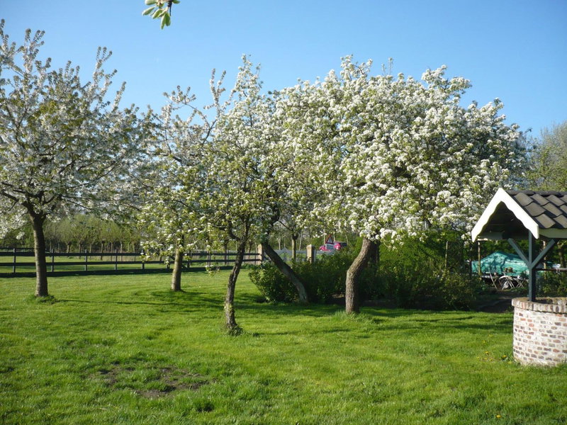 Shepherds House B&B, Limmen, The Netherlands
