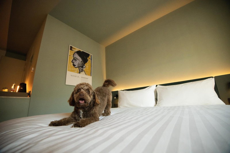 The Rebyl, Nijmegen, a Tribute Portfolio Hotel by Marriott, Nijmegen, The Netherlands