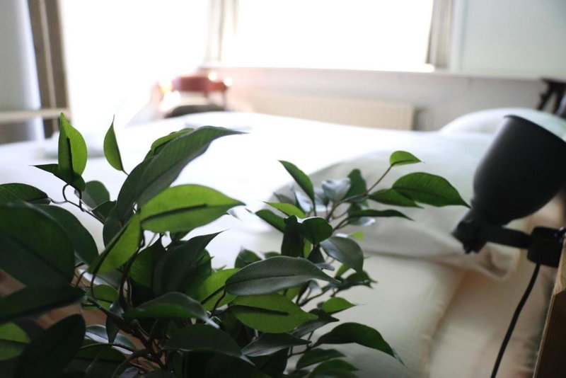 Hostel Roots, Tilburg, The Netherlands