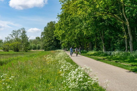 EuroParcs Het Amsterdamse Bos, Amstelveen, The Netherlands