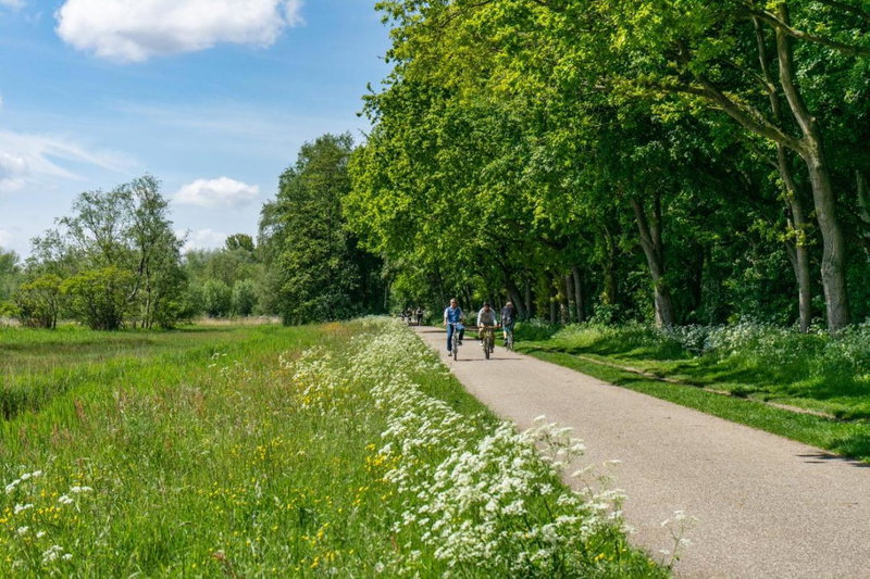 EuroParcs Het Amsterdamse Bos, Amstelveen, The Netherlands