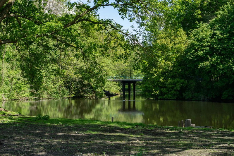 EuroParcs Het Amsterdamse Bos, Amstelveen, The Netherlands