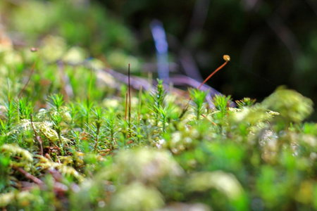 Ödevata Gårdshotell, Emmaboda, Sweden