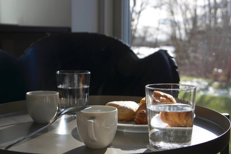 Forskarhotellet, Lund, Sweden