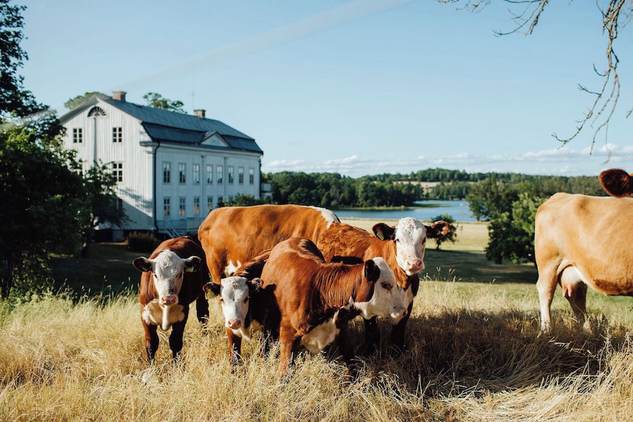 Wallby Säteri, Vetlanda, Sweden
