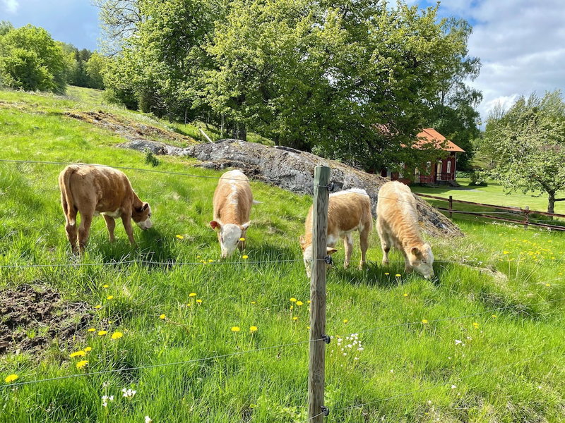 Wallby Säteri, Vetlanda, Sweden