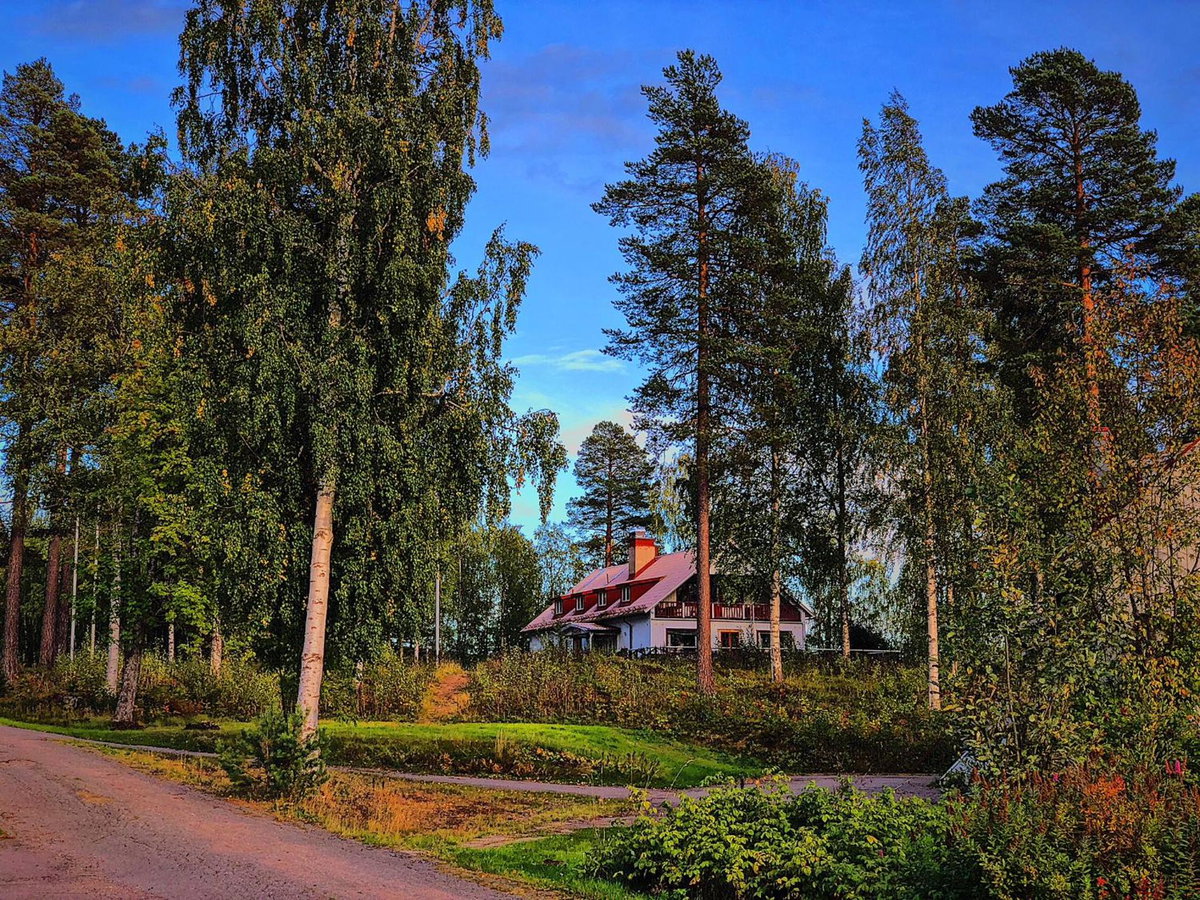 Vildmarks Lodge, Schweden