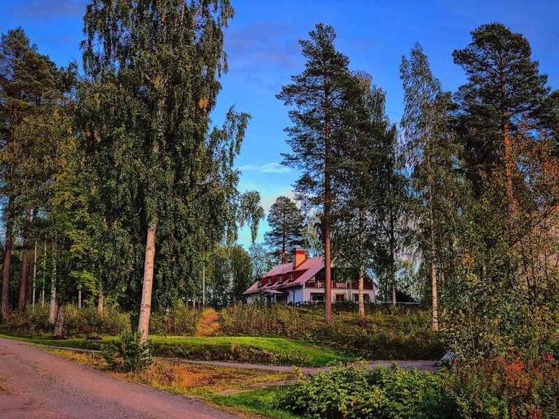 Vildmarks Lodge, Ytterhogdal, Sweden