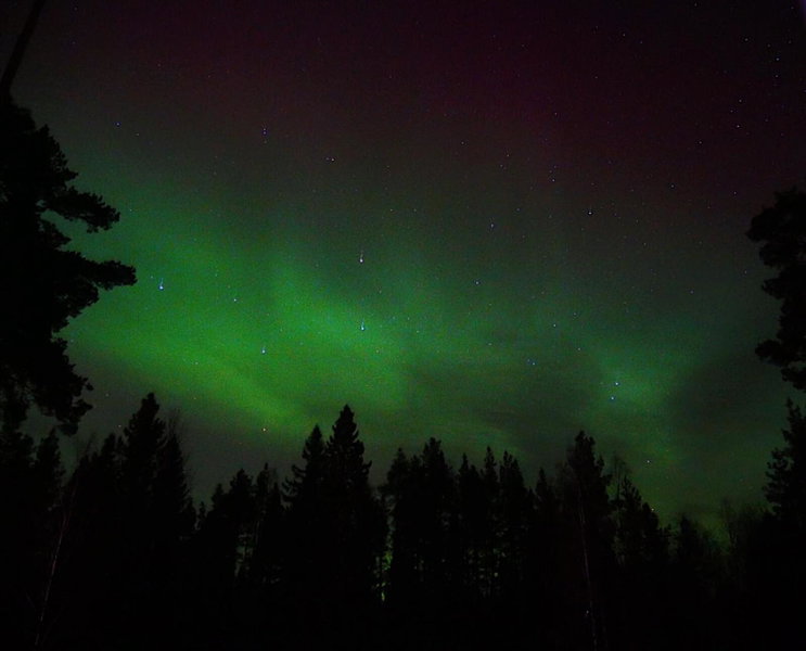 Vildmarks Lodge, Ytterhogdal, Sweden