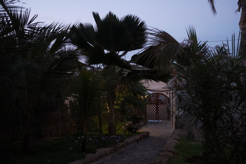 Hospedaje La Quebrada, Máncora, Peru