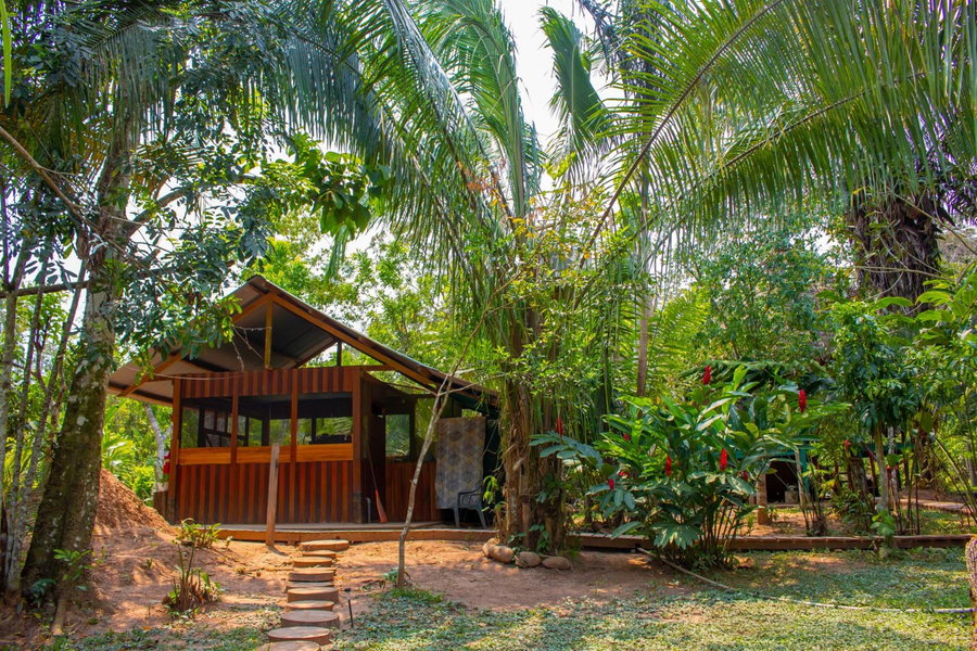Tronco Tambopata Adventure, Puerto Maldonado, Peru