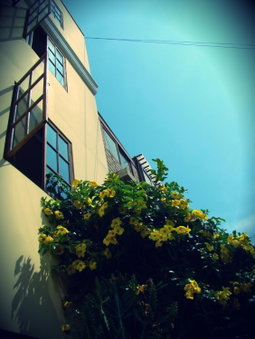 Casa de Baraybar, Lima, Peru