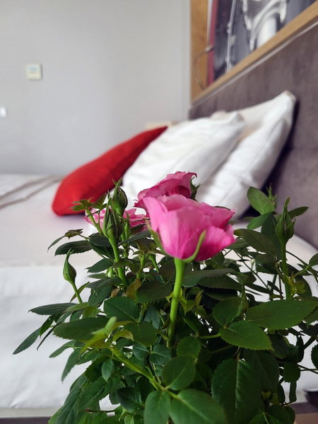 Hotel Forza, Poznan, Poland