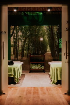 Hotel Dębowy Biowellness & SPA Góry Sowie, Bielawa, Poland