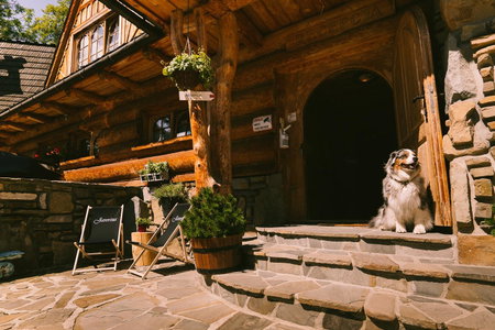Pokoje Javorina, Zakopane, Poland