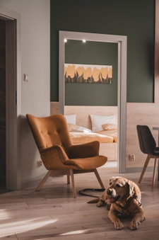Apartamenty MonteVerde w Świeradowie-Zdroju, Luban, Poland
