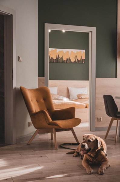 Apartamenty MonteVerde w Świeradowie-Zdroju, Luban, Poland