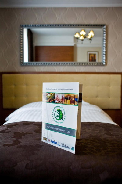Hotel&Spa Kameleon, Zory, Poland