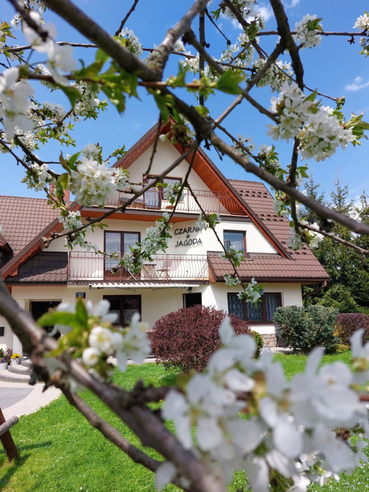 Czarna Jagoda, Poland
