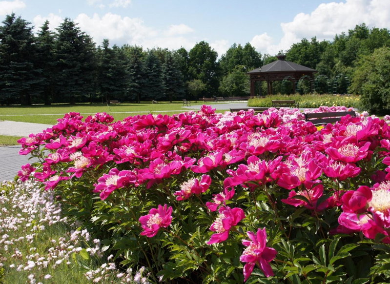 Hotel Park, Inowroclaw, Poland