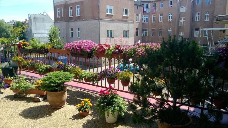 Hotel Ottaviano, Swinoujscie, Poland