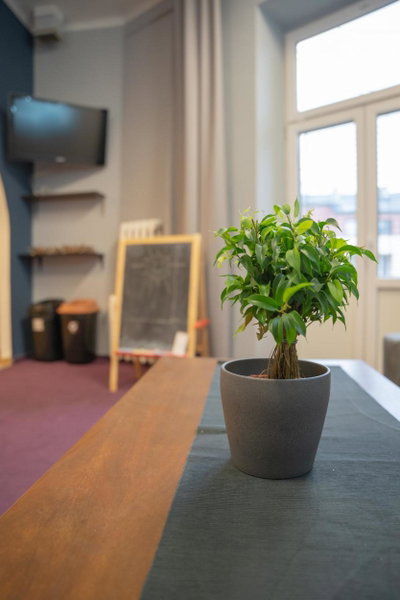 Moon Hostel Warszawa, Srodmiescie, Poland