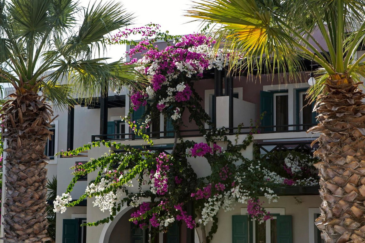 Hotel · Rose Bay Hotel, Kamari