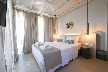 Aegean Hospitality, Mýkonos City, Greece
