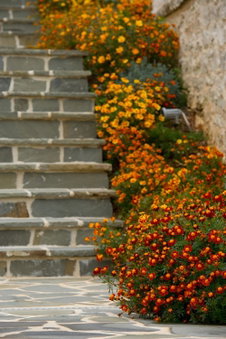 Mir Boutique Hotel, Ioannina, Greece