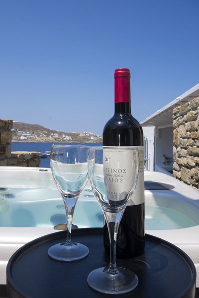 Mykonos Adonis Hotel, Mykonos, Greece