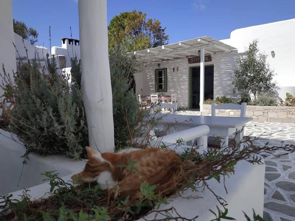 Thalassitra Private Pool Suites, Greece