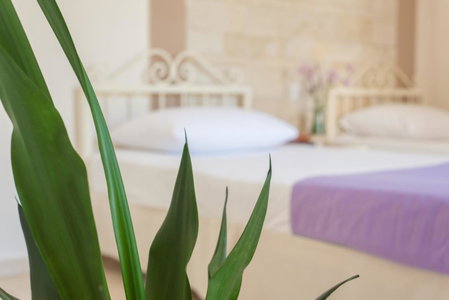 Le Palme, Malia, Greece