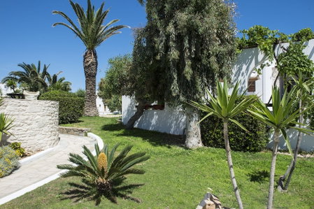 Contaratos Beach, Paros, Greece