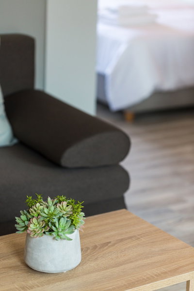 Menta City Boutique Hotel, Rethymno, Greece