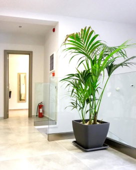 Pallada Athens boutique rooms & apartments, Athens, Greece
