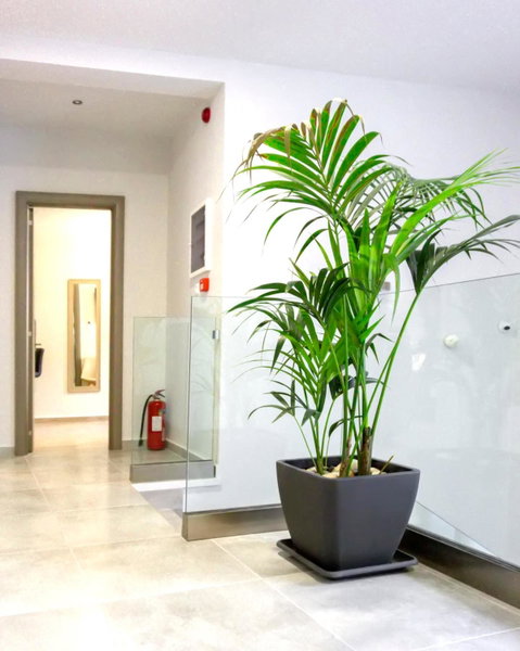 Pallada Athens boutique rooms & apartments, Athens, Greece
