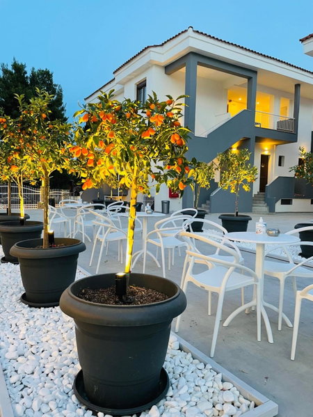 Acrotel Lily Ann Village, Nikiti, Greece