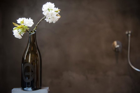 Bio Weingut Georgium, Sankt Peter, Austria