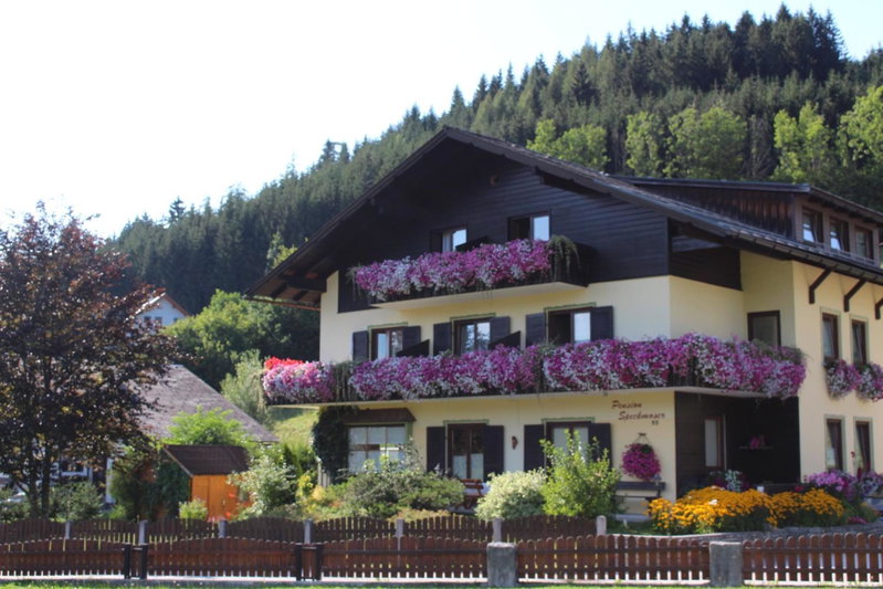 Pension Speckmoser, Bad Mitterndorf, Austria