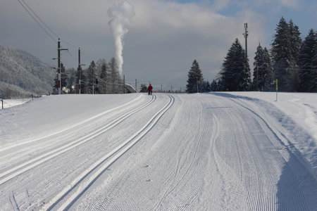 Pension Speckmoser, Bad Mitterndorf, Austria