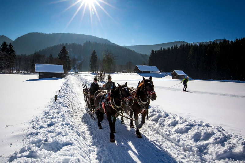 Pension Speckmoser, Bad Mitterndorf, Austria