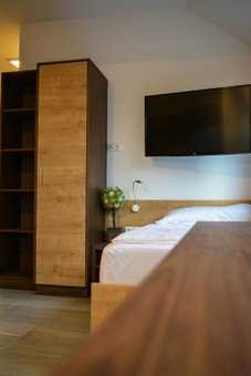Wels Inn Hotel, Wels, Austria