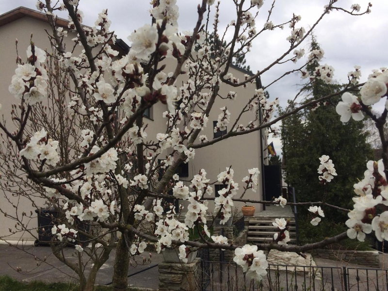 Pension Marillenhof, Sankt Poelten, Austria