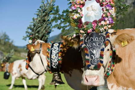 Der Siegeler B&B - this lifestylehotel rocks, Mayrhofen, Austria