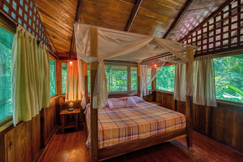 Tree House Beachfront Lodge, Cahuita, Costa Rica