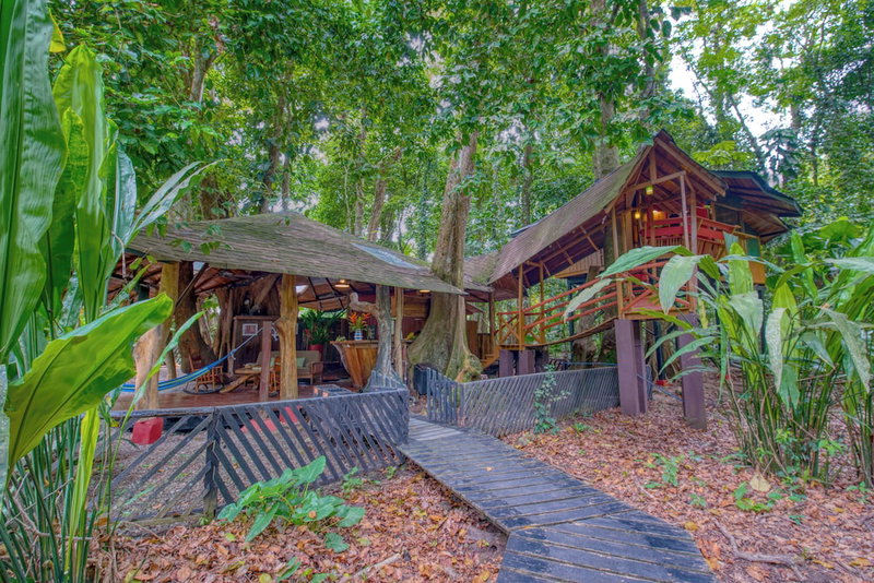 Tree House Beachfront Lodge, Cahuita, Costa Rica