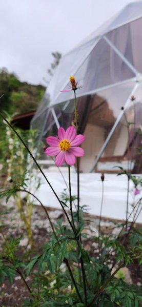 Glamping Monteverde, Monteverde Costa Rica, Коста-Рика